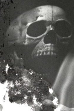 Homunculi (2022) Homunculi (2022)