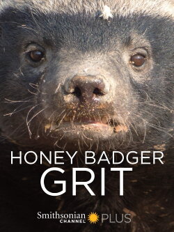 Honey Badger: Grit (2018) Honey Badger: Grit (2018)