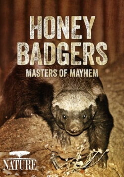 Honey Badgers: Masters of Mayhem (2014) Honey Badgers: Masters of Mayhem (2014)