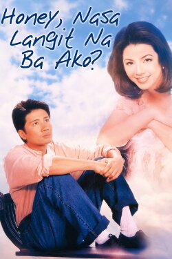 Honey, Nasa Langit na ba Ako? (1998) Honey, Nasa Langit na ba Ako? (1998)