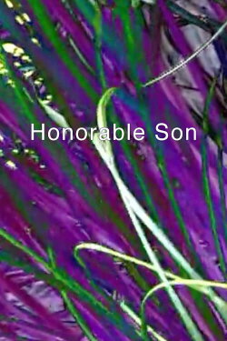 Honorable Son (2006) Honorable Son (2006)