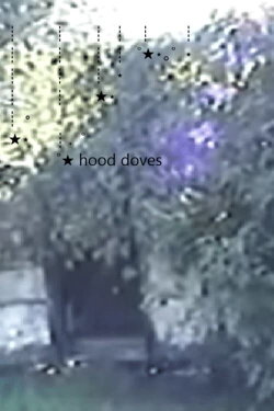 Hood Doves (2015) Hood Doves (2015)