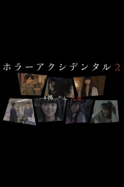 Horror Accidental (2013)
