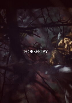 Horseplay (2017)