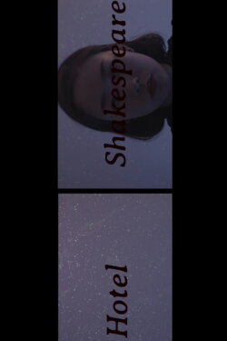 Hotel Shakespeare (2016)