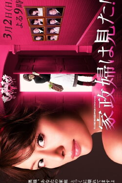 Housekeeper the Peeper (2014) Housekeeper the Peeper (2014)