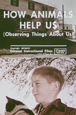 How Animals Help Us (1954)