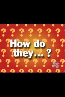 How Do They Make Oatmeal Cookies? (1999)