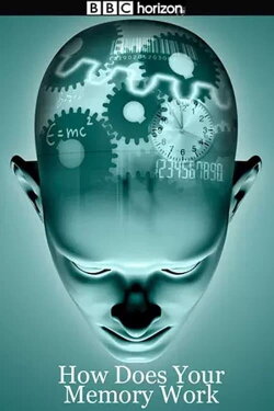 How Does Your Memory Work (2008) How Does Your Memory Work (2008)