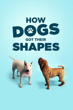 How Dogs Got Their Shapes (2016) How Dogs Got Their Shapes (2016)