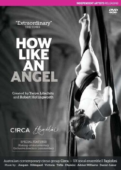 How Like An Angel (2013)
