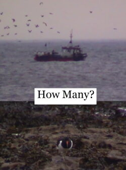 How Many? (2023)