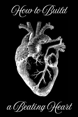 How to Build a Beating Heart (2011) How to Build a Beating Heart (2011)