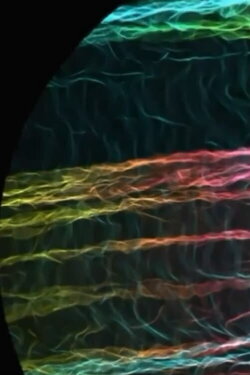 How to Scramble The Cosmic Egg's (2016)
