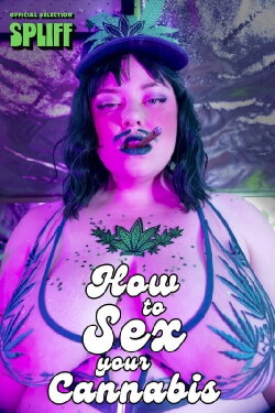 How To Sex Your Cannabis (2022) How To Sex Your Cannabis (2022)