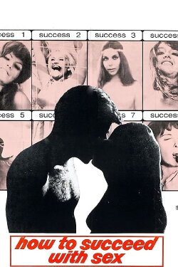 How to Succeed with Sex (1970) How to Succeed with Sex (1970)