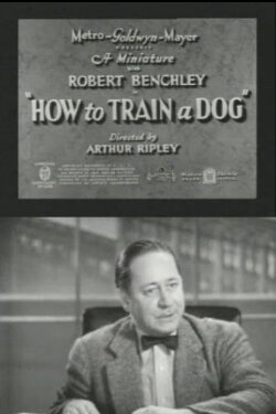 How to Train a Dog (1936) How to Train a Dog (1936)