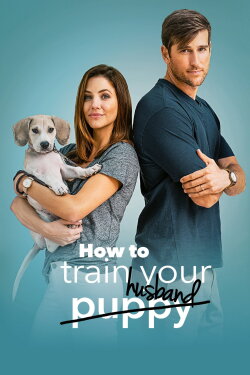 How to Train Your Husband (2018) How to Train Your Husband (2018)