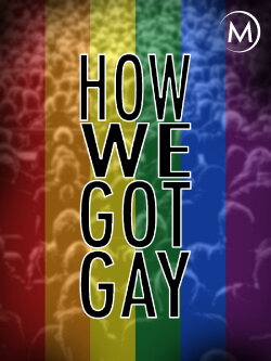 How We Got Gay (2013) How We Got Gay (2013)