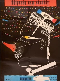 Hülyeség nem akadály (1986) Hülyeség nem akadály (1986)