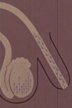 Human Growth: Second Edition (1962)