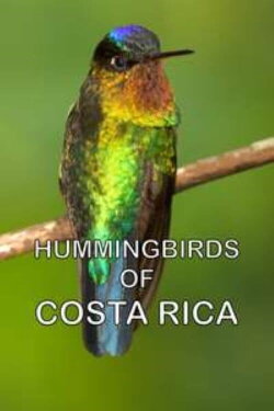 Hummingbirds of Costa Rica (2016)