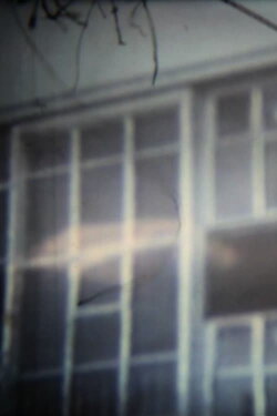 Hunger for Death (1994) Hunger for Death (1994)