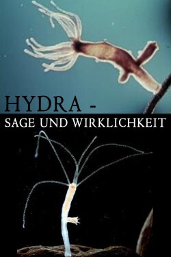 Hydra - Legend and Reality (1962) Hydra - Legend and Reality (1962)