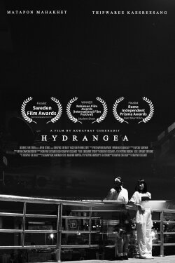 Hydrangea (2021)