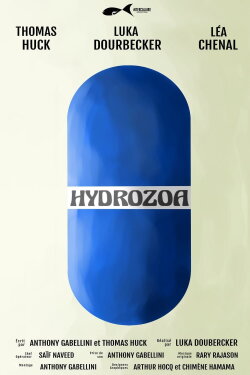 Hydrozoa (2024)