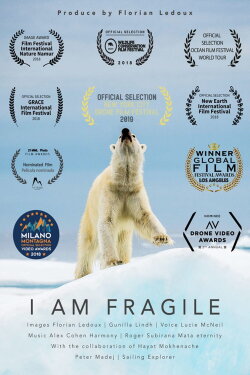 I Am Fragile (2019) I Am Fragile (2019)