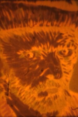 I Am The Darkness (2019)