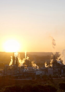I Asked the Factory (2024) I Asked the Factory (2024)