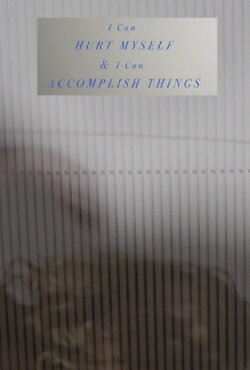 I Can Hurt Myself & I Can Accomplish Things (2016)