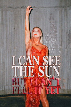I Can See the Sun But I Can't Feel It Yet (2023)