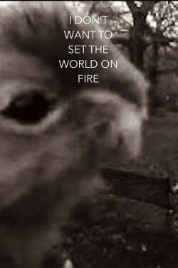 I Don't Want To Set The World On Fire (2023) I Don't Want To Set The World On Fire (2023)