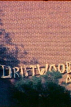 I Dream of Driftwood (2008) I Dream of Driftwood (2008)