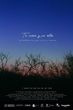 I dream you and you are not here (2022)