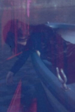 I have been looking at the dream continuously (1998) I have been looking at the dream continuously (1998)