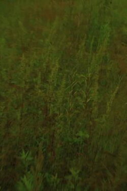 I Know, I Know (2010)