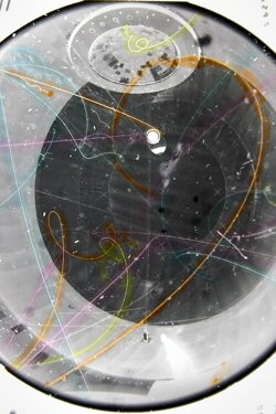 I ♥ Neutrinos: You Cant See Them but They are Everywhere (2011)