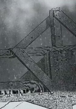 I Open the Window (2009)