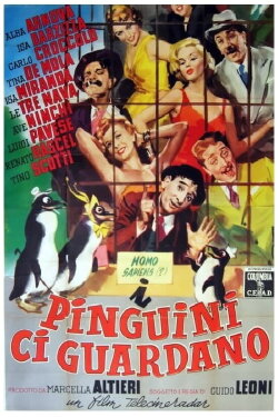 I pinguini ci guardano (1956) I pinguini ci guardano (1956)
