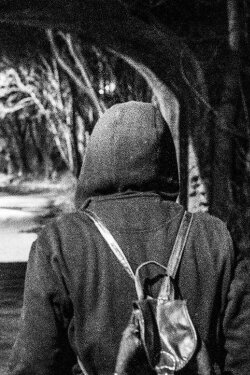 I Should Have Run (2017)