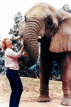 I Talk to Animals (1990) I Talk to Animals (1990)