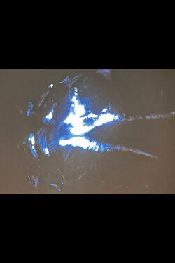Ice (1972)
