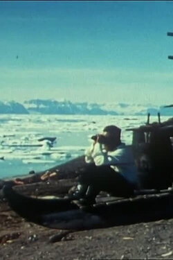 Ice Bank in Summer (1968) Ice Bank in Summer (1968)