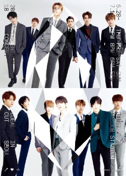 IDEAL CUT IN SEOUL (2019) IDEAL CUT IN SEOUL (2019)
