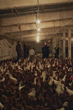 If I Ever Get A Monument Chickens Will Do It For Me (Requiem#3) (2021) If I Ever Get A Monument Chickens Will Do It For Me (Requiem#3) (2021)