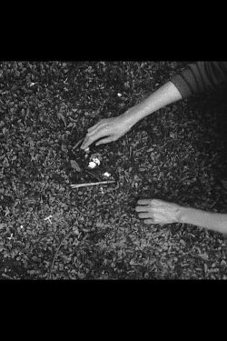If Not, (2014) If Not, (2014)